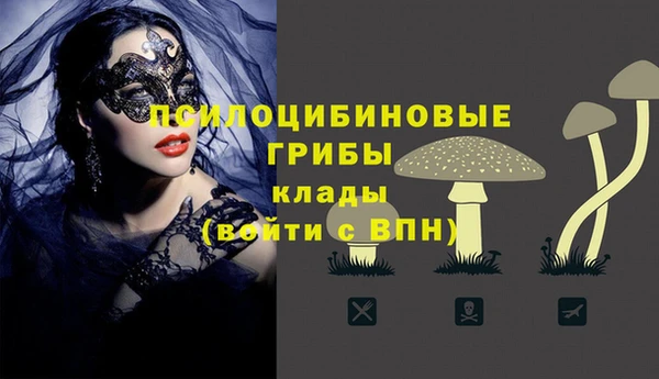 сатива Няндома