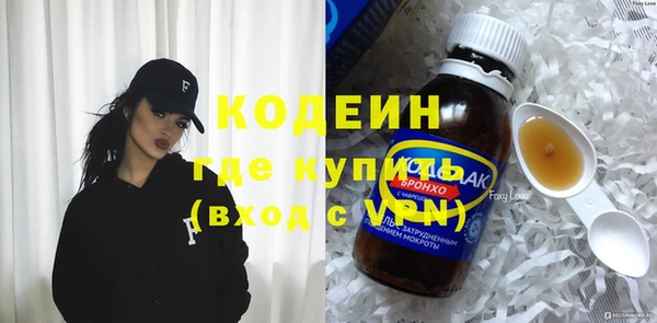 сатива Няндома
