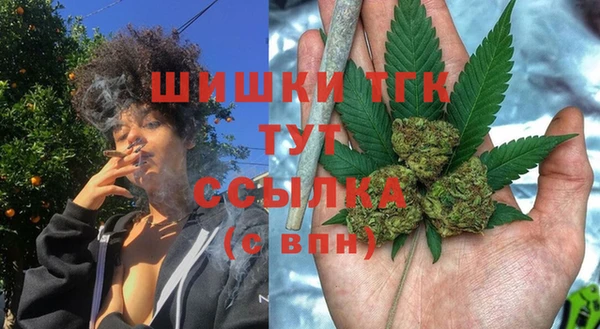 сатива Няндома