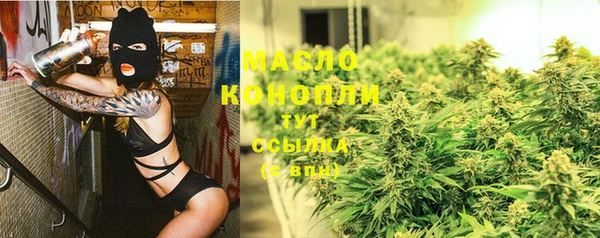 сатива Няндома