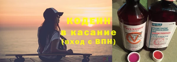 сатива Няндома