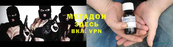 сатива Няндома