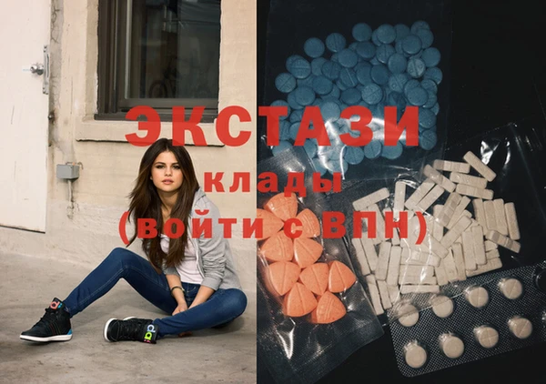 сатива Няндома