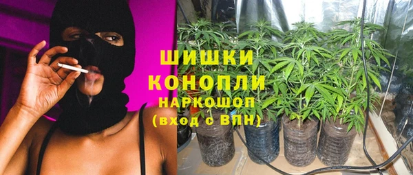 сатива Няндома