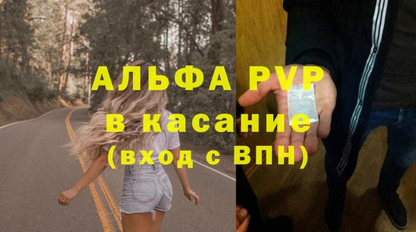 сатива Няндома