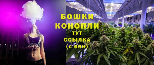 сатива Няндома