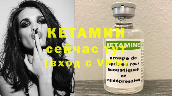 сатива Няндома
