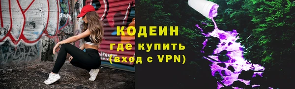 сатива Няндома