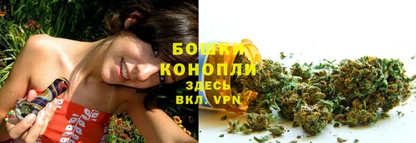сатива Няндома