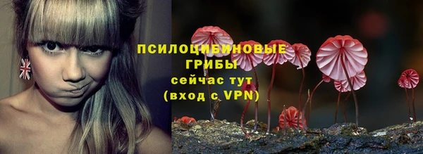 сатива Няндома