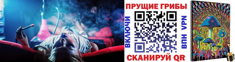 Галлюциногенные грибы прущие грибы Тимашёвск